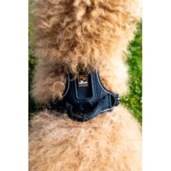 Fressnapf Tracker Pathfinder Geschirr Set S -Zoofachgeschäft 0473ecbb0fe55fb7883a57b7591ab570c5a5aaa7 1409260 2