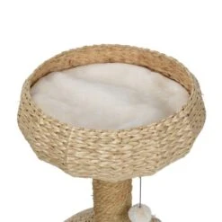 AniOne Kratzbaum Anzo -Zoofachgeschäft 351c483b7633d98114272dd6abd14775154252bf 22d484b588e021fa65a862261d472ada2c49384c