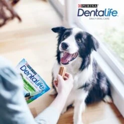 DentaLife PURINA Hunde Zahnpflege-Snacks Großpackung Medium, 84x -Zoofachgeschäft 3d22bf74a99660236ce1548620fac8aa3ac8818f 7dac1d18ca011066644ad899fee9fa3bcb5974f5