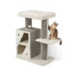 MORE Kratzbaum Edward -Zoofachgeschäft 3dbf59e3cce477fabe3045964c3b31542fd34f93 a301cd96a03fc3e3e31f0cea97769d1447bd4627