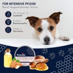 Pawlie's Pawlie’s Pfotenpflege Balsam 100ml -Zoofachgeschäft 4414e72f07d787db12a69fedf5823afe48e9ba64 1626196 de DE 4365dffd6d422f328ede6af1afc9d14128ef1417O2b3OO
