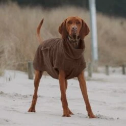 THE DOG IDEA Bademantel Every Braun XXXS -Zoofachgeschäft 62c517832f7f923b83b0a0ee681a77b2e33cc3c3 1473036 de DE 2393ef51979dd0191b0261c826741cb7543b7b3brAaZfV