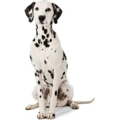 MORE Liegeplatz Cord LOOKS By Wolfgang Joop M 8 MORE Liegeplatz Cord LOOKS By Wolfgang Joop M -Zoofachgeschäft 6828406bf5c097465ec912985de2b95c60385f12 1410461 3