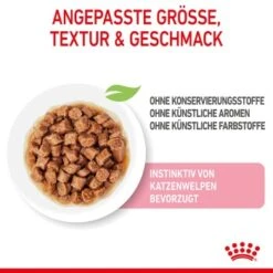 ROYAL CANIN Kitten 12x85g In Soße -Zoofachgeschäft 7324b89931a00c9fada4d316d800f0e035d93a68 9003579308745 4