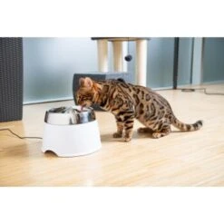 AniOne Edelstahl-Trinkbrunnen Trevi Ohne Ersatzfilter -Zoofachgeschäft 7a066af048695bbfaeca0a855e5984fc3bf99d03 689fcf415d486ac05c07f2a4868b1d087d7a9ece