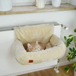 Schlitzohr Heizungsliege Lucky Beige -Zoofachgeschäft 7bab29708c56b6f70695735987b821094f74efb9 1484673 de DE 775053056e82816b2424b888f536a523a0880ea7ZfMupV