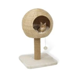 AniOne Kratzbaum Taro -Zoofachgeschäft 8015d7b4c0183292da7990dff25b7ff1c97f7ca6 4661a3fe35a0d785da64c78b80181fd4eec21218