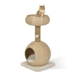 AniOne Kratzbaum Anzo -Zoofachgeschäft 8251ae4516bf903fd0d3f9c45aa1bbabf8946a79 e7ecb07cf2644d3862a8042d79dc2f0a59c03802