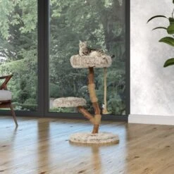 Neue Veröffentlichungen -Zoofachgeschäft 87f0327374e5809e6ea9f0a09dbc2d6a0f7e7402 1407289 Milieu MF K