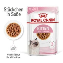 ROYAL CANIN Kitten 12x85g In Soße -Zoofachgeschäft abe3c16908496eb2fe7870afe2f98ede5ead55b0 9003579308745 1