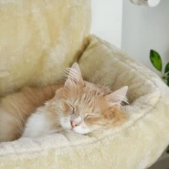 Schlitzohr Heizungsliege Lucky Beige -Zoofachgeschäft bdc02033928d033279e49ebefe91371e629dfd2f 1484673 de DE 4daf09016934a9074c92f48c173e840fa6385a4agwWEjb