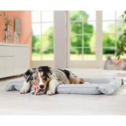 AniOne 2in1 Liegeplatz Pepe & Kitty S -Zoofachgeschäft c0b1c57ce9a81460ac4881703e585fea19070439 7b3c609afbafd568a967e70d6389fb43f36e72f6