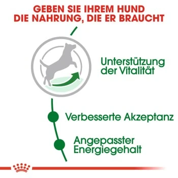ROYAL CANIN Mini Adult 8+ 8 Kg 4 ROYAL CANIN Mini Adult 8+ 8 Kg – Bild 4