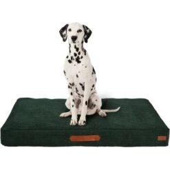 MORE Liegeplatz Cord LOOKS By Wolfgang Joop M 9 MORE Liegeplatz Cord LOOKS By Wolfgang Joop M -Zoofachgeschäft cbaa1b9028bb7e7a2d8f26864d83ad74a46fdc0c 1410461