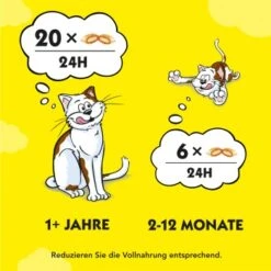 Dreamies Snack-Vielfalt 12x60g 11 Dreamies Snack-Vielfalt 12x60g -Zoofachgeschäft e1b190f4f53100ff83c0fb6481ba747fb1f78bad 1297459 2