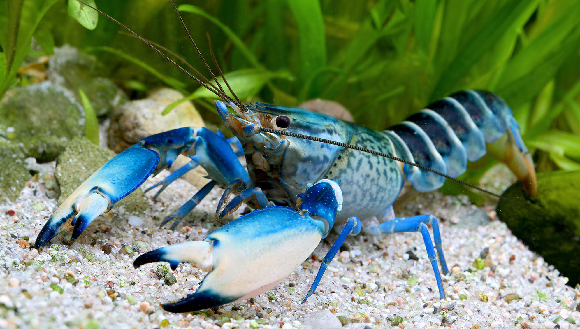 Zoofachgeschäft -Zoofachgeschäft 2